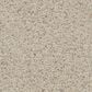 Masland Saint Luca Carpet in Dependable, , large