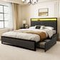 Homlux 2-Drawer Full Storage Bed with LED Headboard and USB Ports in Gray, , large