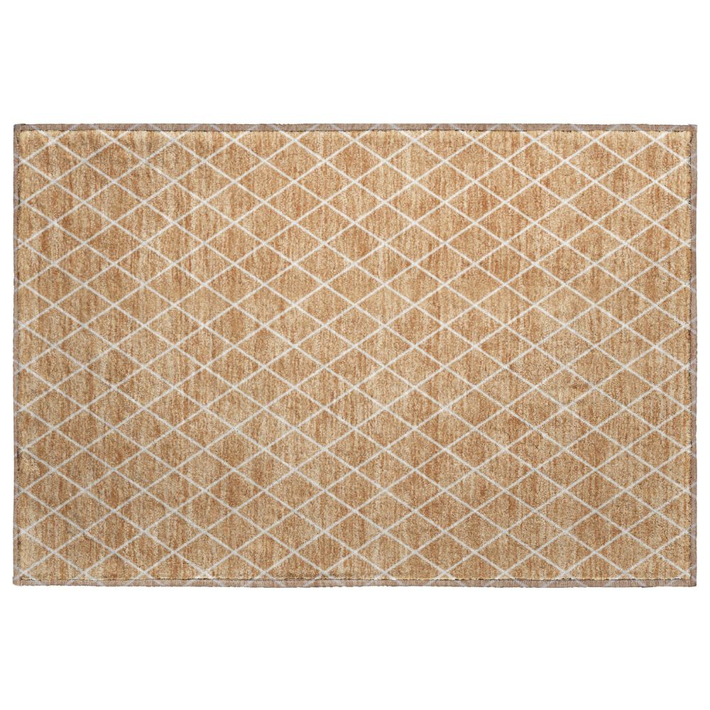 Dalyn Rug Company The Reserve TR15 Copper 2"6" x 3"10" Indoor/Outdoor Area Rug, , large