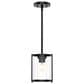 Hunter Astwood 1-Light Mini Pendant in Matte Black, , large