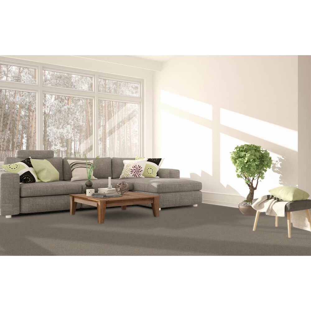 Dream Weaver Beach Club III Carpet in Haystack, , large