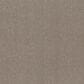Shaw Hard At Play II Carpet in Chic Greige, , large