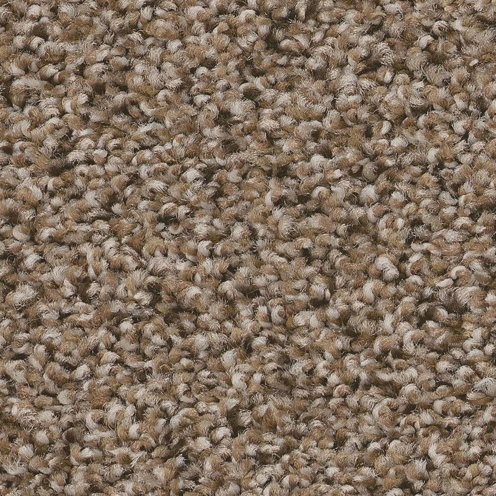 Shaw Abilene I Carpet in Arrowhead, , large