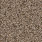 Shaw Abilene I Carpet in Arrowhead, , large