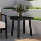 Linon Home Decor Holland Aluminum Side Table in Black, , large