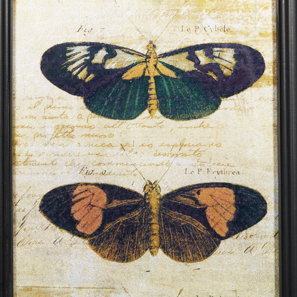 Maple and Jade 36&quot; x 11&quot; Butterfly Wall Art in Multicolor &#40;Set of 2&#41;, , large