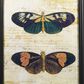 Maple and Jade 36" x 11" Butterfly Wall Art in Multicolor (Set of 2), , large