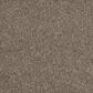 Shaw Barracan Classic II Carpet in Mesquite, , large
