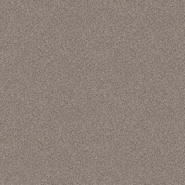 Shaw Influencer Carpet in Chestnut, , large