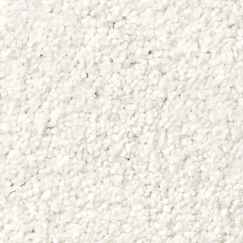 Shaw Tonal Comfort Ii Carpet in Gallery Opening, , large