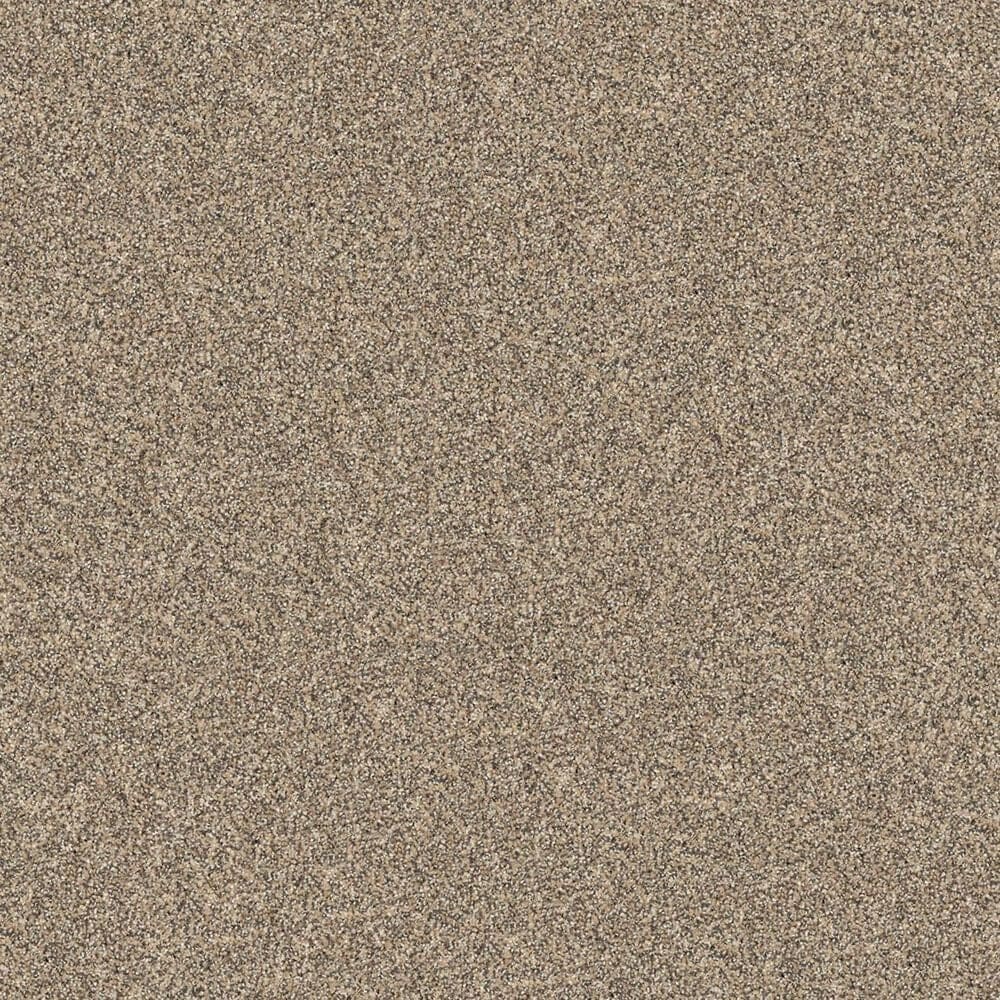 Godfrey-Hirst Novel Flair Carpet in Acacia, , large
