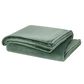 Pem America Cannon Solid Plush 60" x 80" Throw in Green, , large