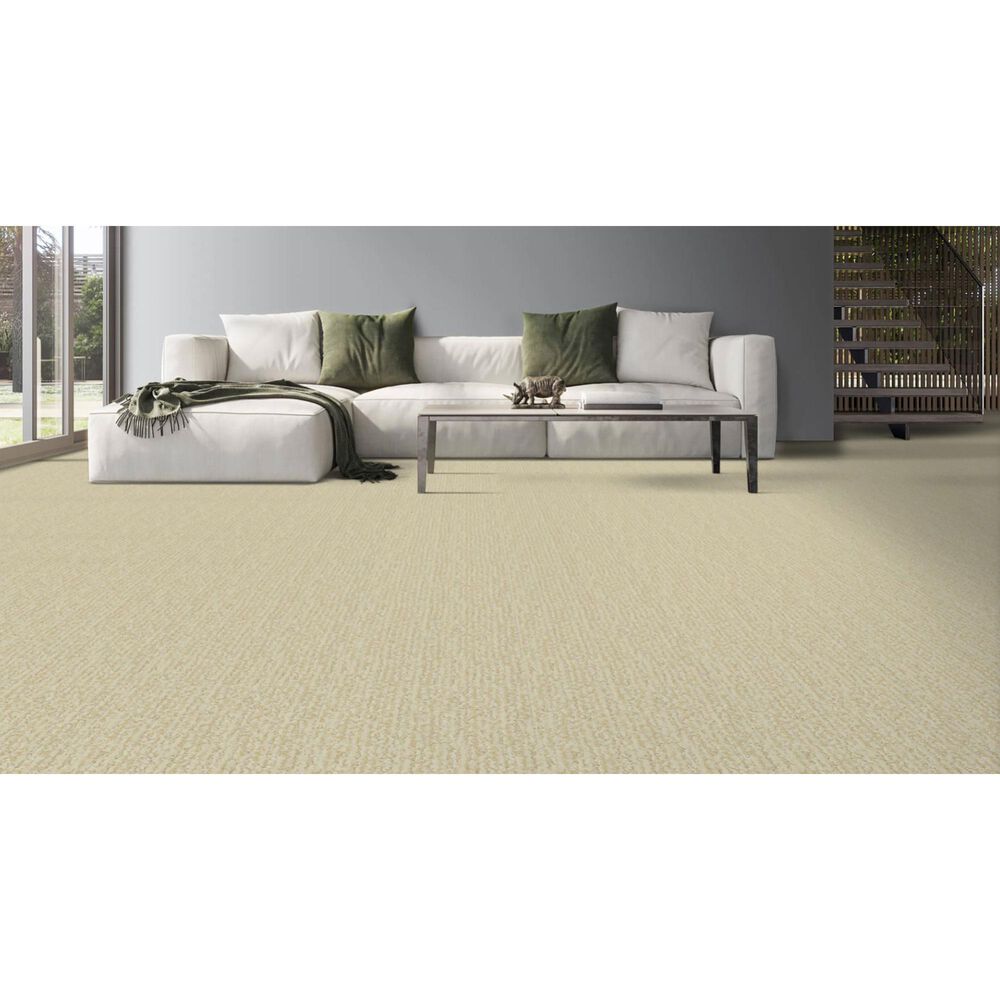 Masland Mesa Verde Carpet in Lancaster, , large