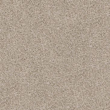 Dixie Home Herder Carpet in Pomeranian, , large