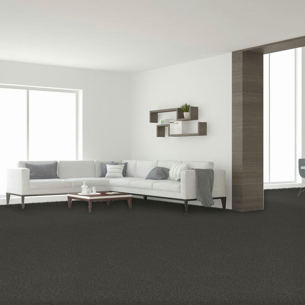 Dream Weaver Titan III Carpet in Beacon Hill, , large