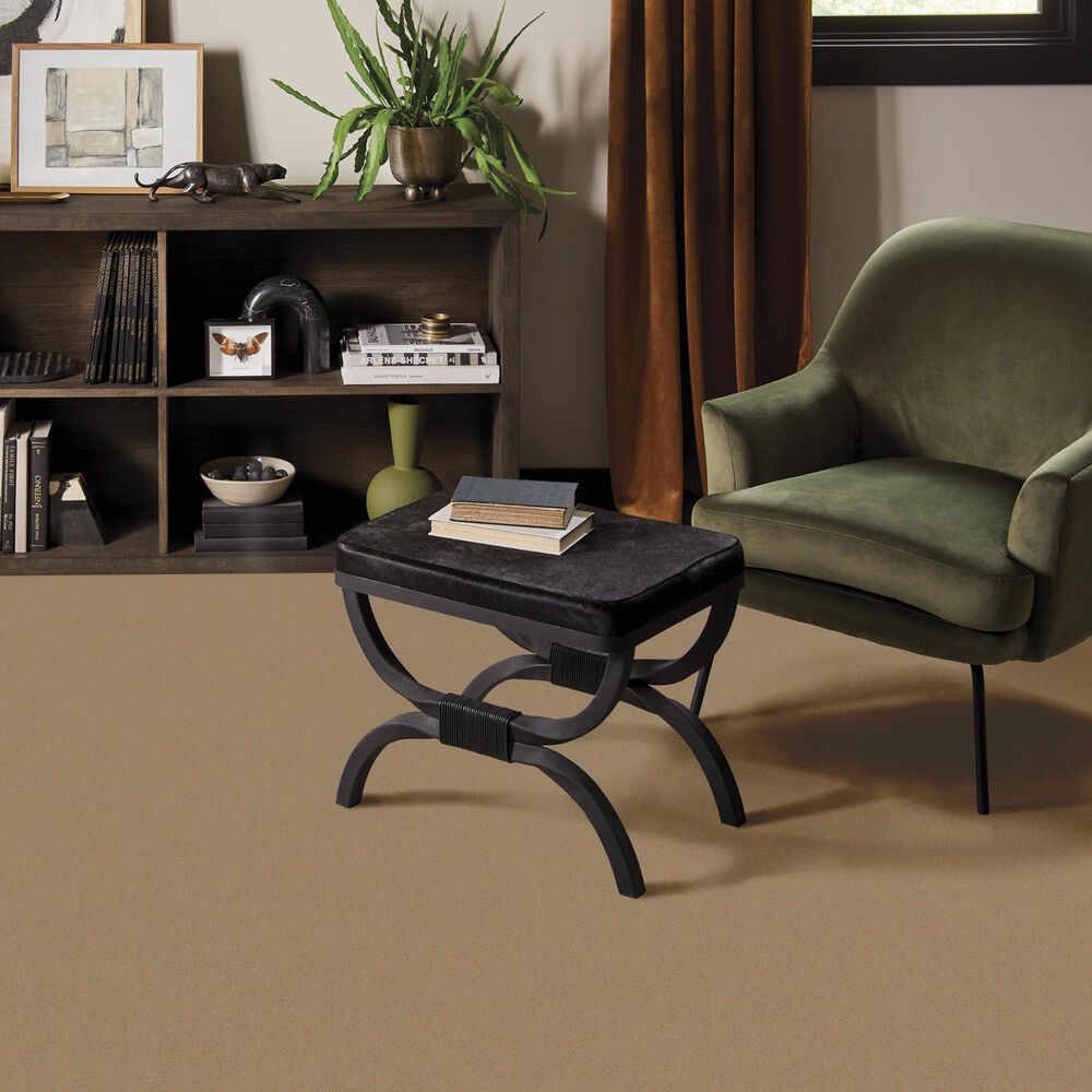 Anderson Tuftex Finery Carpet in Mystic Gold, , large