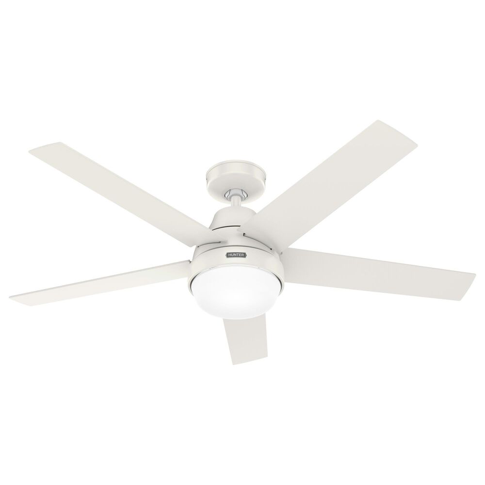 Hunter Ceiling Fan Humming Noise Shelly Lighting