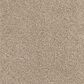 Dixie Home Maverick Carpet in Shar-pei, , large