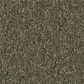 Philadelphia Champagne Taste I Carpet in Rerooted Nature, , large