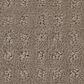 Shaw West Coast Carpet in Koala, , large