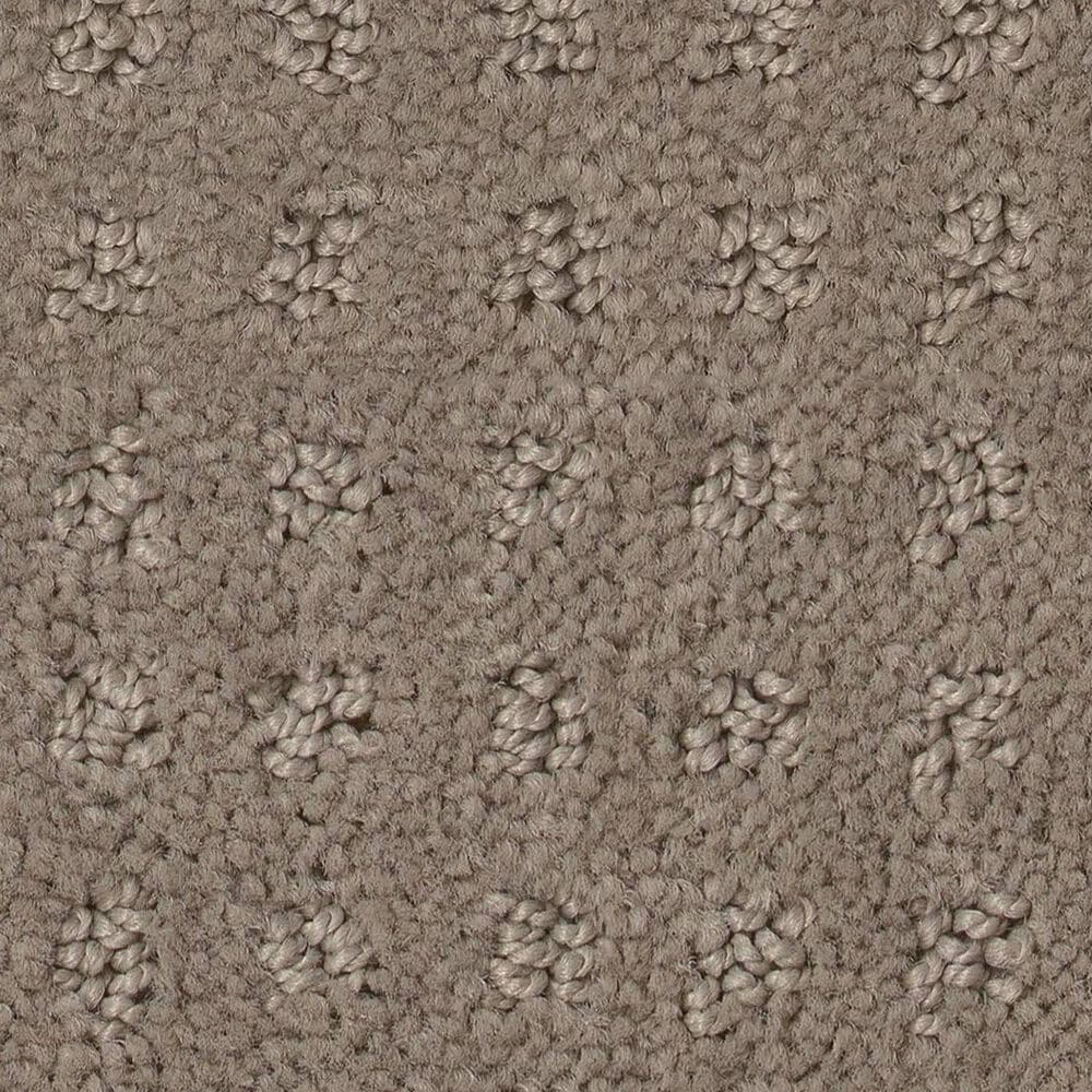Shaw West Coast Carpet in Koala, , large