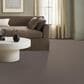 Anderson Tuftex Kaleidoscope Carpet in Natural Stone, , large