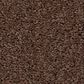 Shaw Las Cruces Carpet in Wood Grain, , large