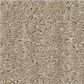 Shaw Serene Stria Carpet in Dried Wheat, , large