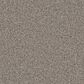 Dixie Home Devotion Carpet in Landmark, , large