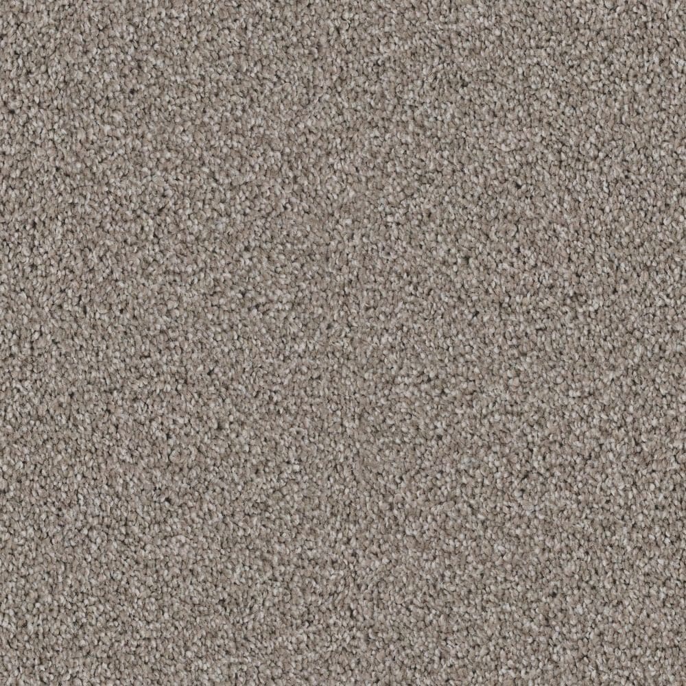 Dixie Home Devotion Carpet in Landmark, , large