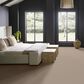 Anderson Tuftex Adair Carpet in Champagne Toast, , large