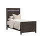 Mayberry Hill Tobias Twin Panel Bed with LED in Black, , large