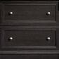 Sauder Palladia 2-Drawer Lateral File Cabinet in Wind Oak, , large