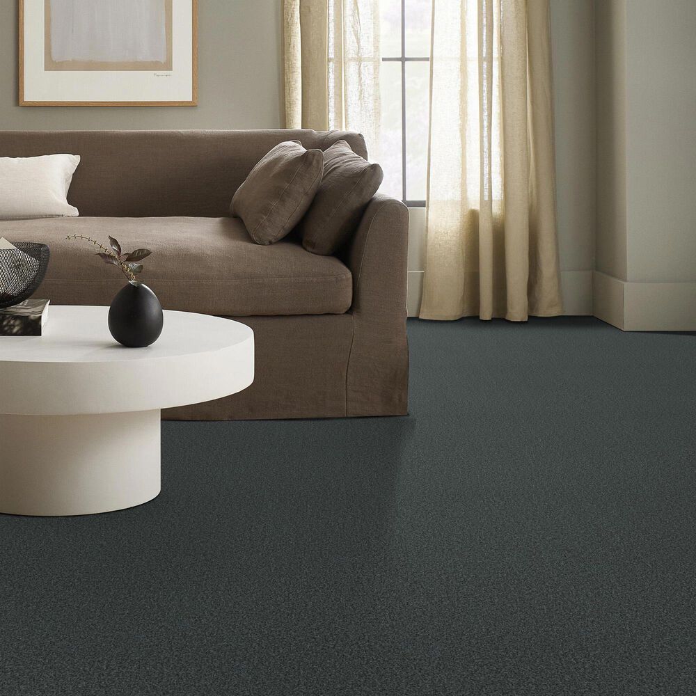 Anderson Tuftex Fabulous Carpet in Grand Canal, , large