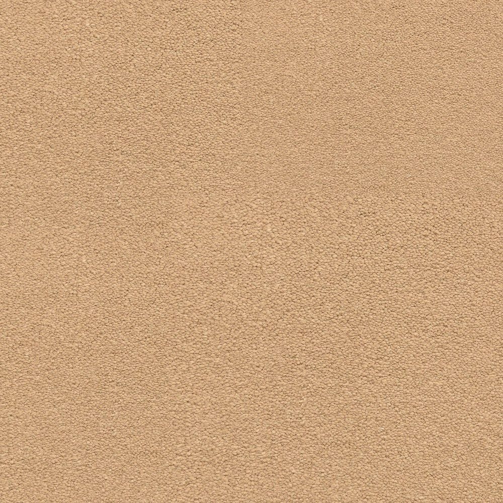 Dixie Home Neverland Carpet in Gettysburgh, , large