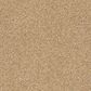 Shaw Acadia Park Carpet in Farro, , large