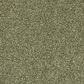 Mohawk Quality Life Carpet in Sage, , large