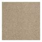 Shaw Phenomenal Carpet in Dunes, , large
