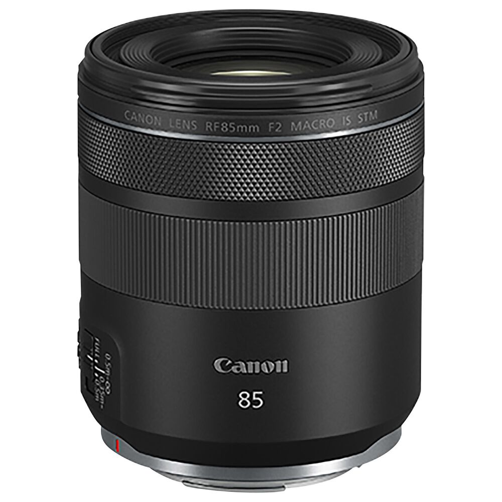 Canon RF 85mm f/2 Macro IS STM Lens in Black, , large