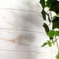 MS International Calacatta Gold 4" x 12" Porcelain Tile, , large