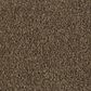 Mohawk Coastal Luxury II Carpet in Cabanas, , large