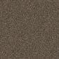 Dixie Home Herder Carpet in Pinscher, , large