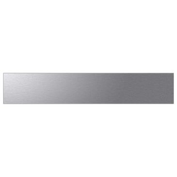 Samsung Bespoke 4-Door French Door Refrigerator Middle Panel in Stainless Steel, , large