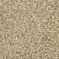 Dixie Home Carefree Carpet in Grey Scale, , large