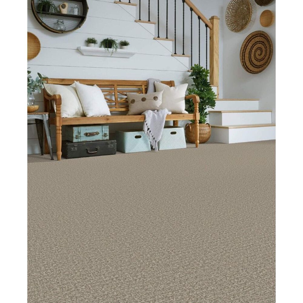 Masland Offspring Carpet in Rebarkable, , large