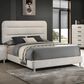 Crown Mark Nyomi Queen Upholstered Panel Bed in White, , large