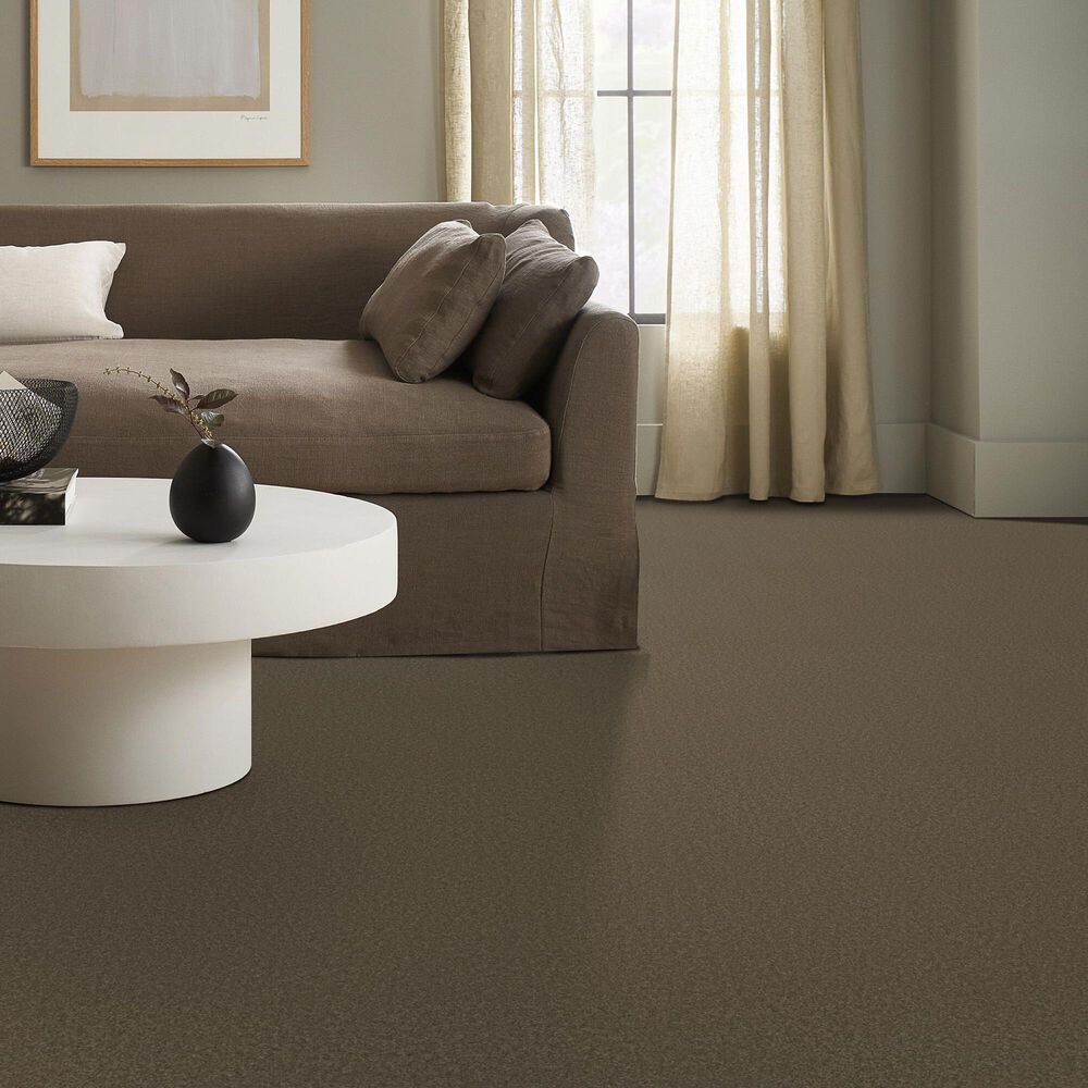 Anderson Tuftex Elegant Beauty Carpet in Moonbeam, , large