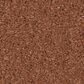 Anderson Tuftex Elegant Beauty Carpet in Clay, , large