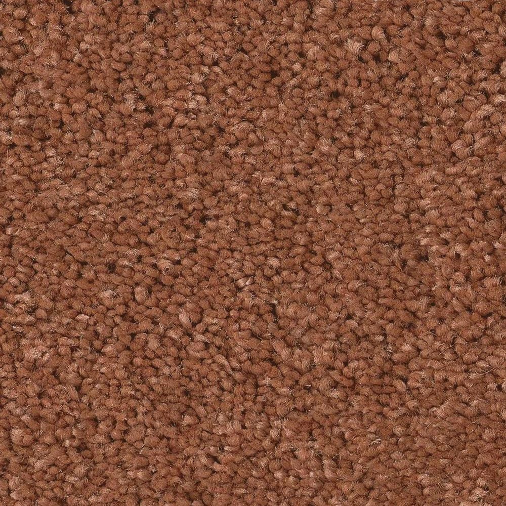 Anderson Tuftex Elegant Beauty Carpet in Clay, , large