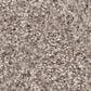 Shaw Inlet Shore I Carpet in Pale Ecru, , large
